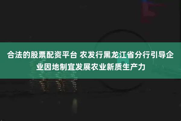 合法的股票配资平台 农发行黑龙江省分行引导企业因地制宜发展农业新质生产力