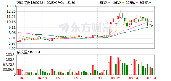 配资服务平台 锦鸡股份：2024年度权益分派实施公告