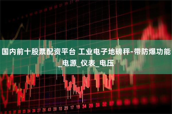 国内前十股票配资平台 工业电子地磅秤-带防爆功能_电源_仪表_电压